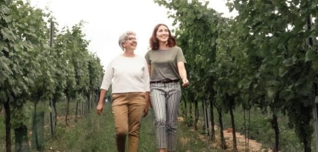 Weingut Faber Köchl