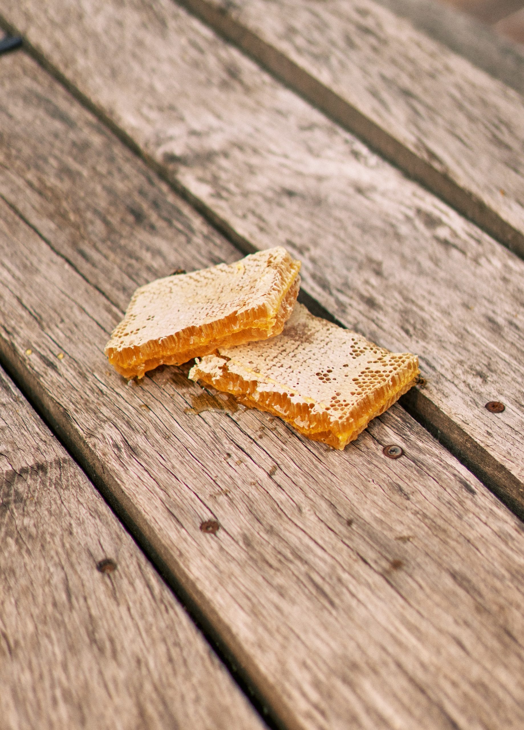 waben-honig-holztisch-scaled-1.jpg BIO Wabenhonig – Bild 1